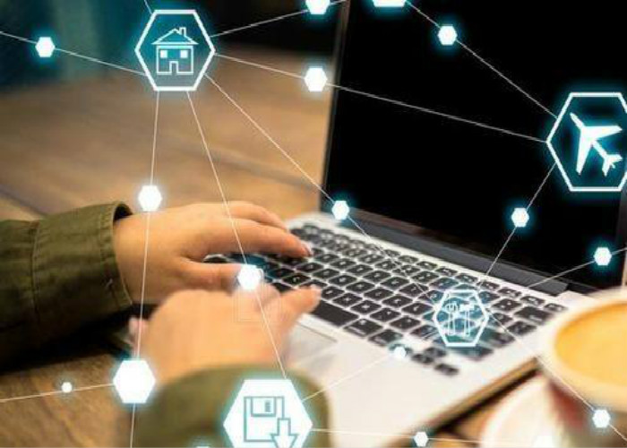 高端网站建设和低端网站建设的主要区别是什么？